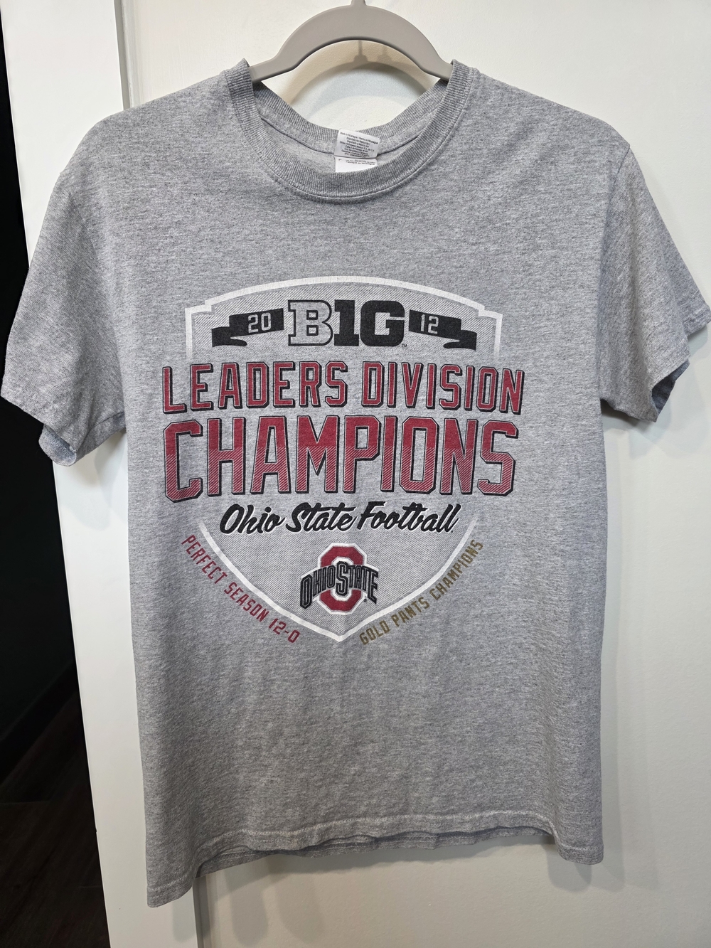 Ohio State Big Ten Shirt 2012
